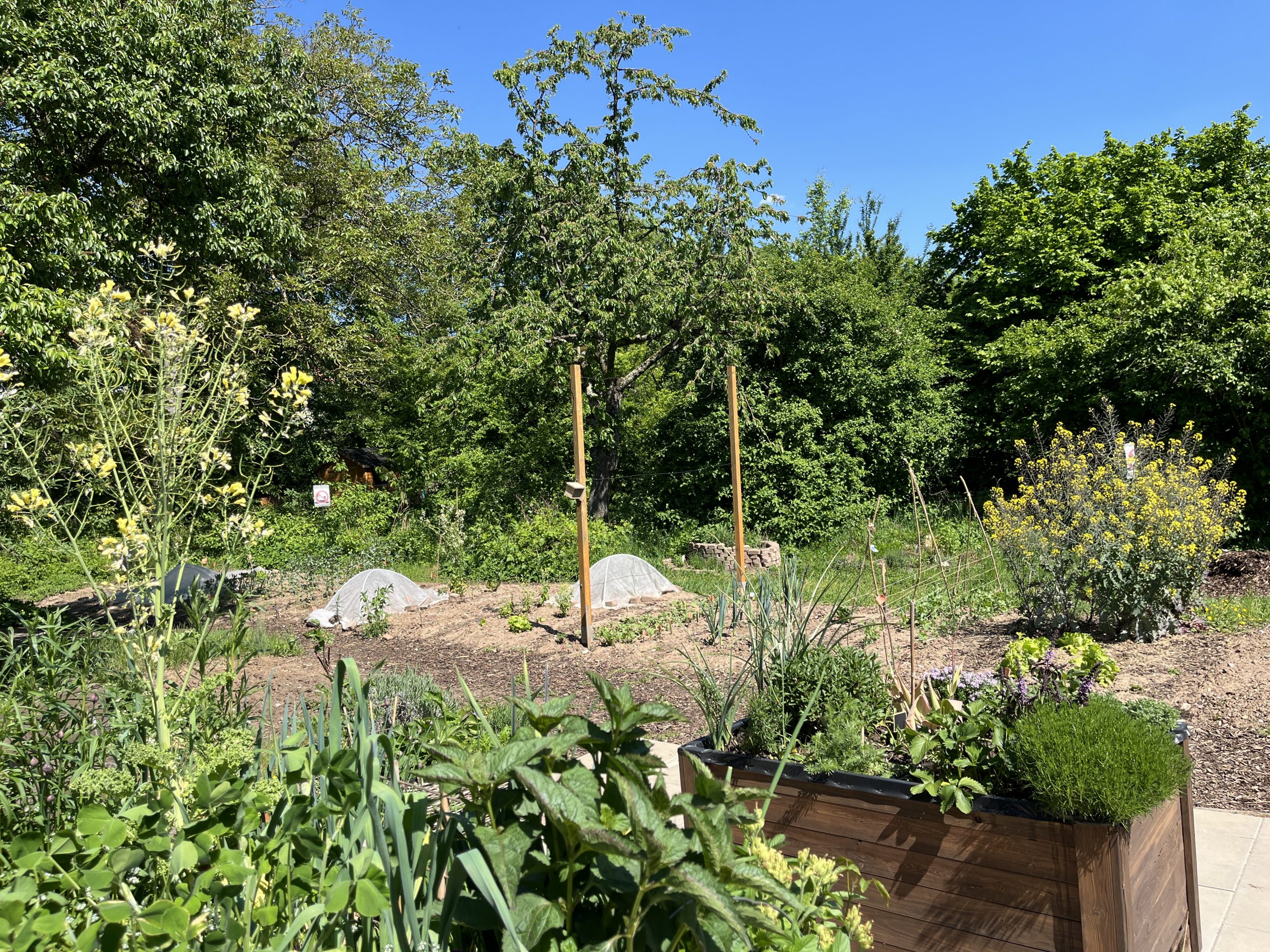 20250429_122841681_iOS